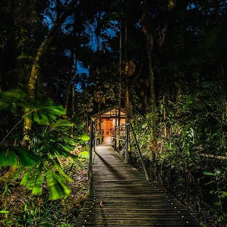 Daintree Wilderness Lodge Экстерьер фото