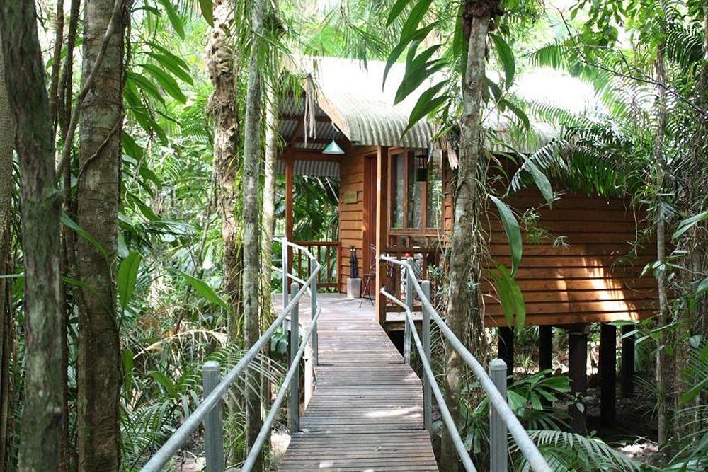 Daintree Wilderness Lodge Экстерьер фото