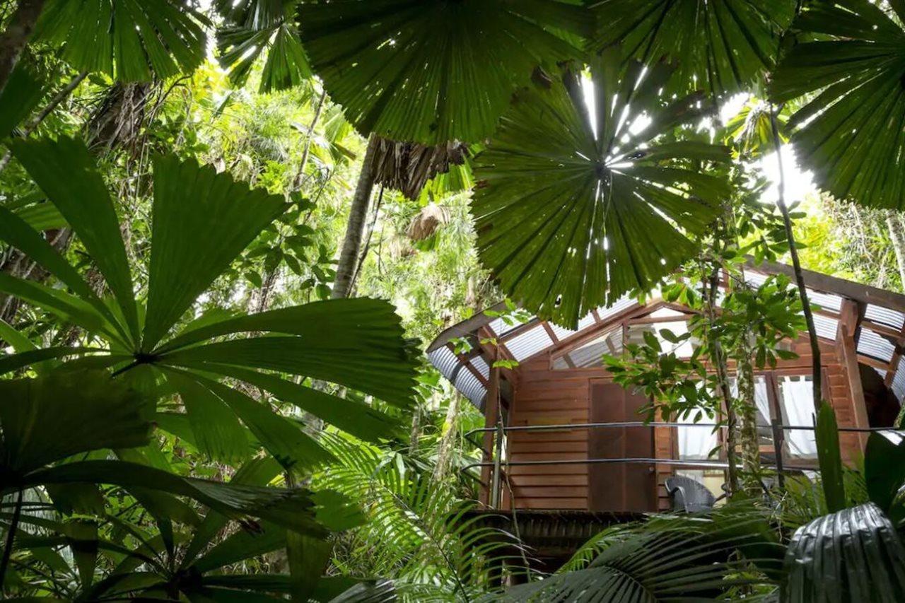 Daintree Wilderness Lodge Экстерьер фото