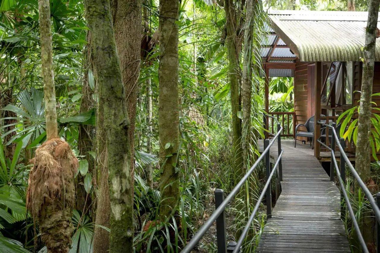Daintree Wilderness Lodge Экстерьер фото