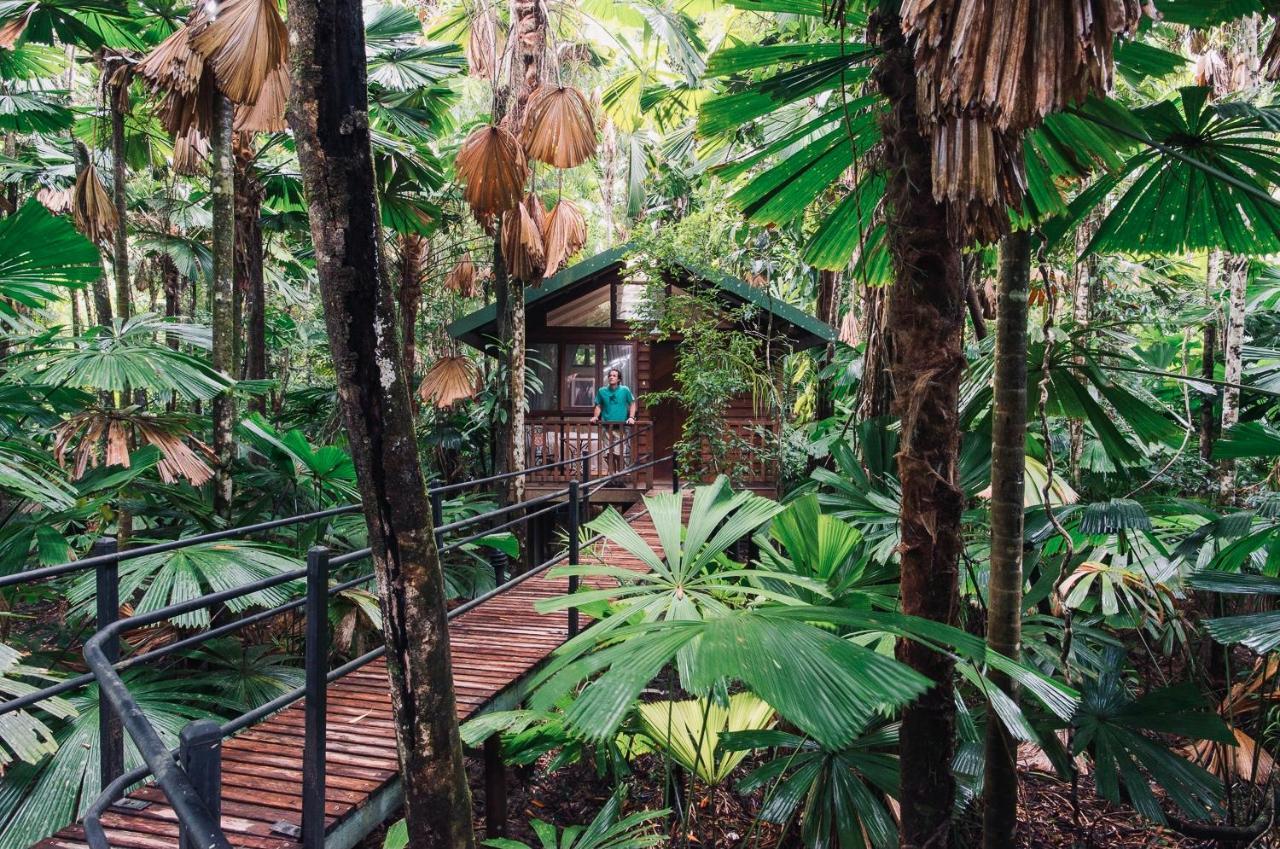 Daintree Wilderness Lodge Экстерьер фото