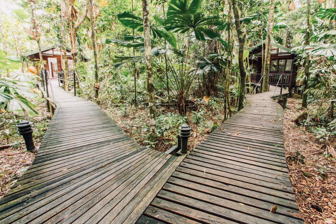 Daintree Wilderness Lodge Экстерьер фото
