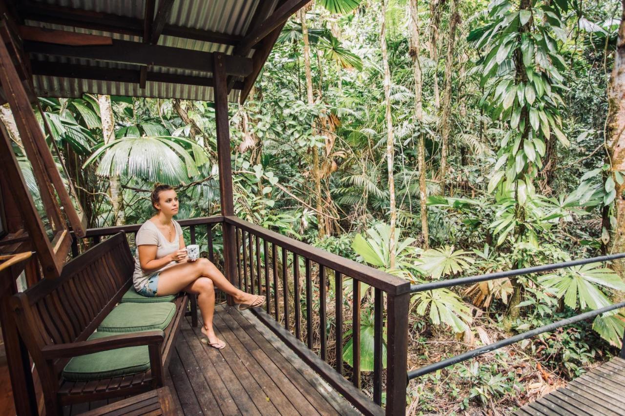 Daintree Wilderness Lodge Экстерьер фото