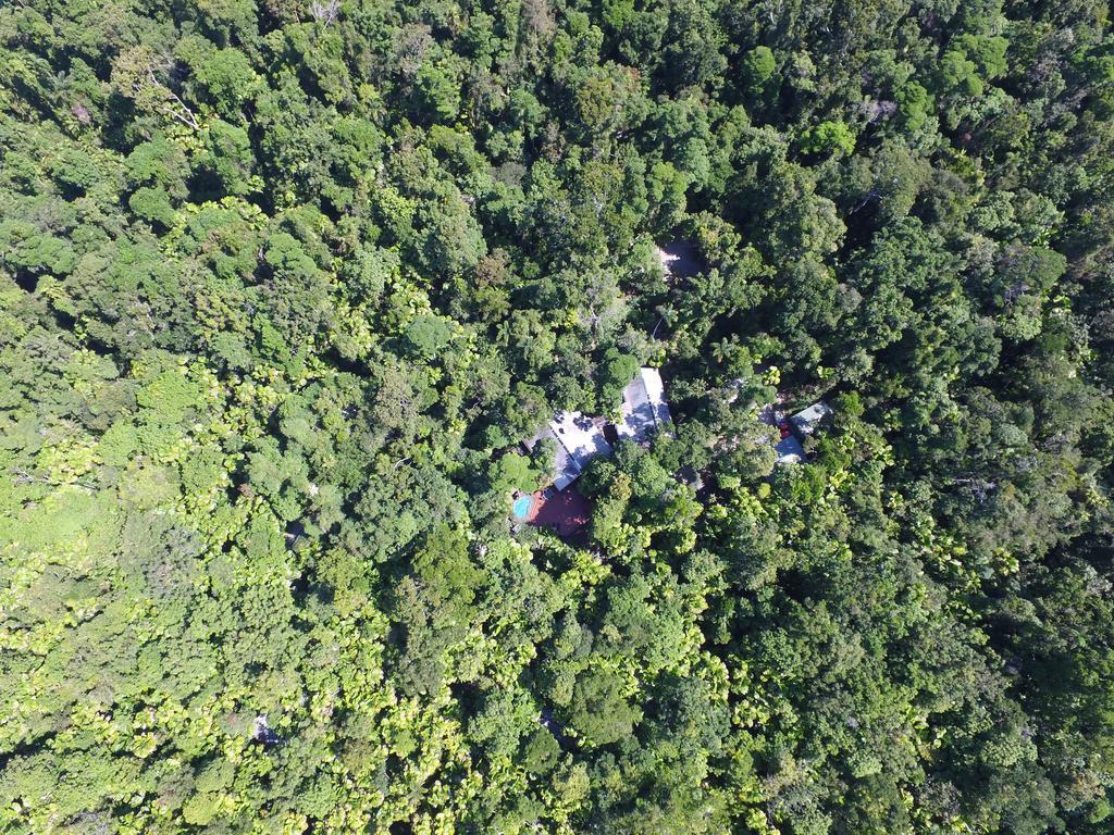 Daintree Wilderness Lodge Экстерьер фото