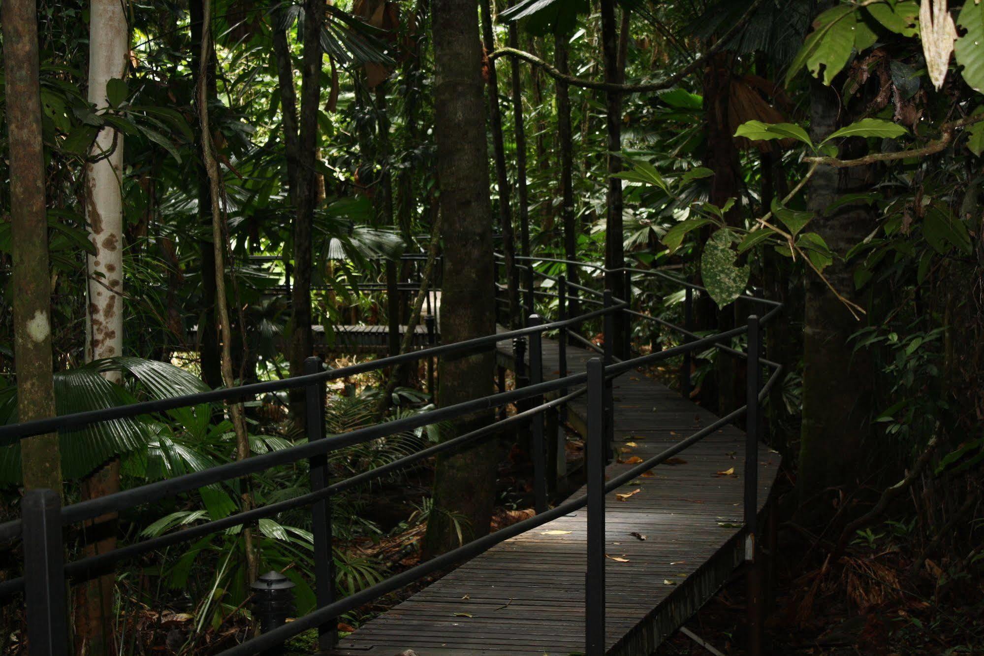 Daintree Wilderness Lodge Экстерьер фото