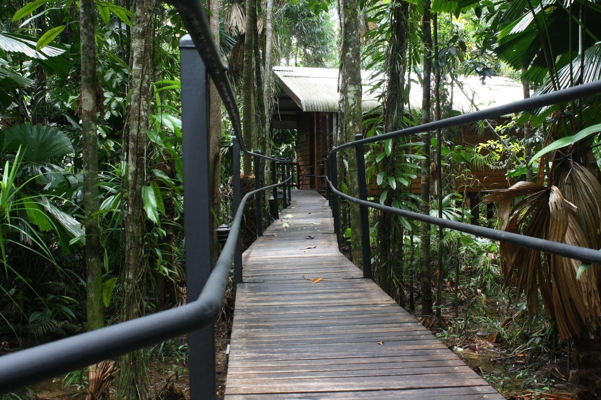 Daintree Wilderness Lodge Экстерьер фото